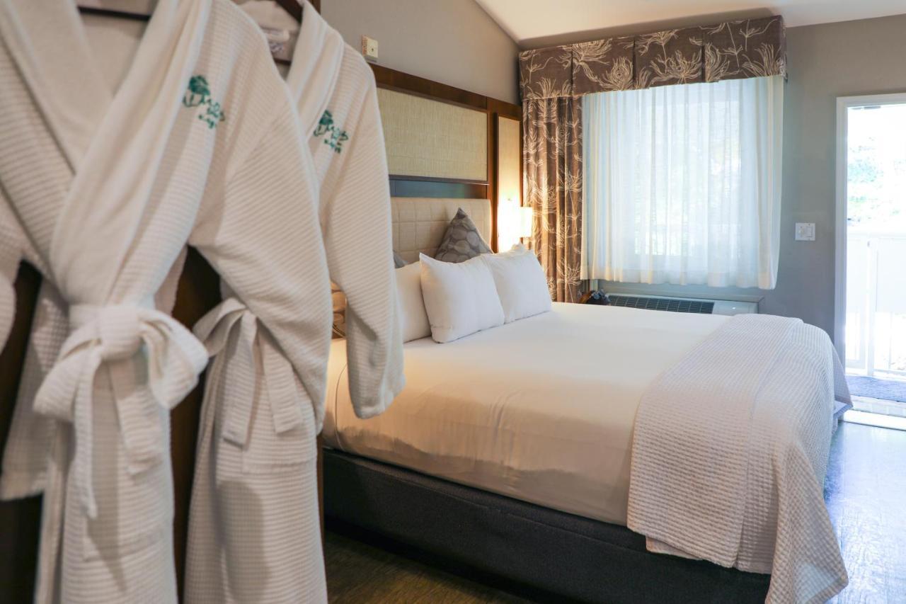 Almond Tree Inn - Adults Only キーウェスト 部屋 写真